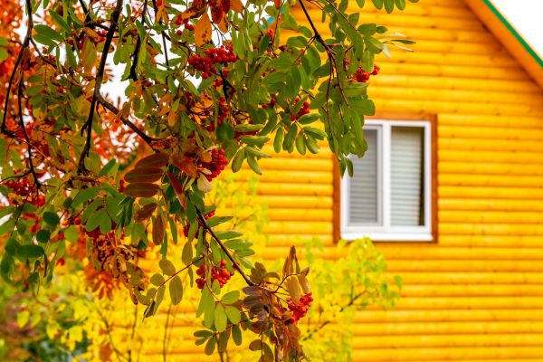 Garden Window Replacement in Saratoga Springs
